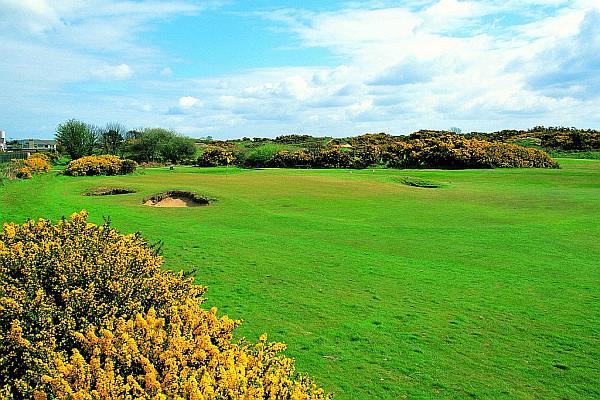 Royal County Down Golf Club (Annesley) Gallery Image 1