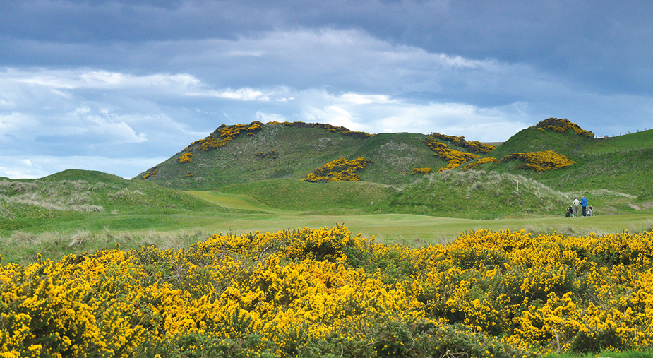 Cruden Bay  Gallery Image 2