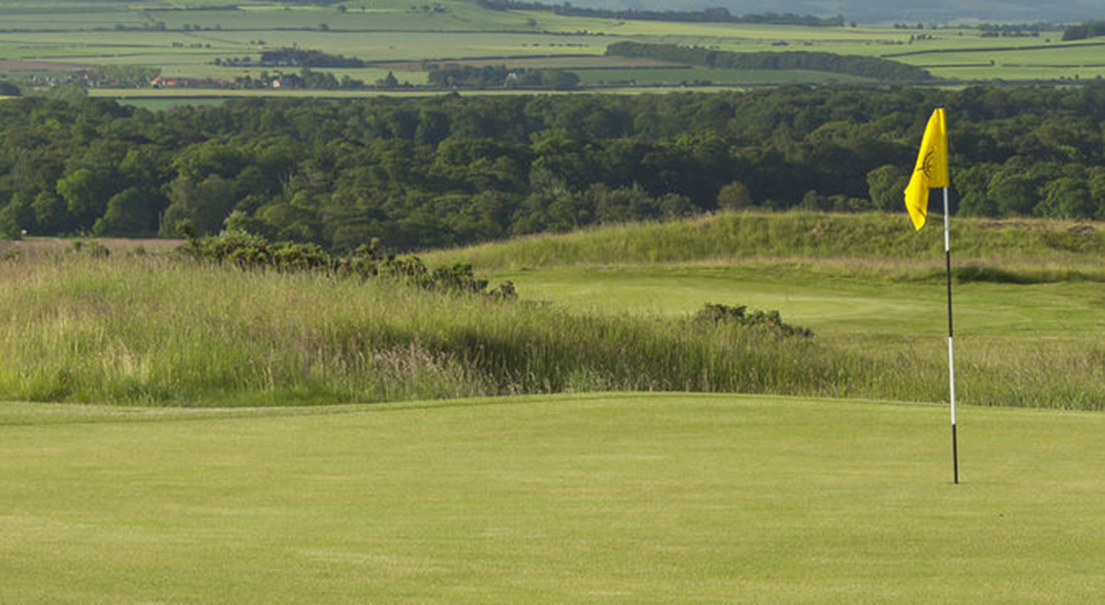 Gullane No. 2 Gallery Image 3