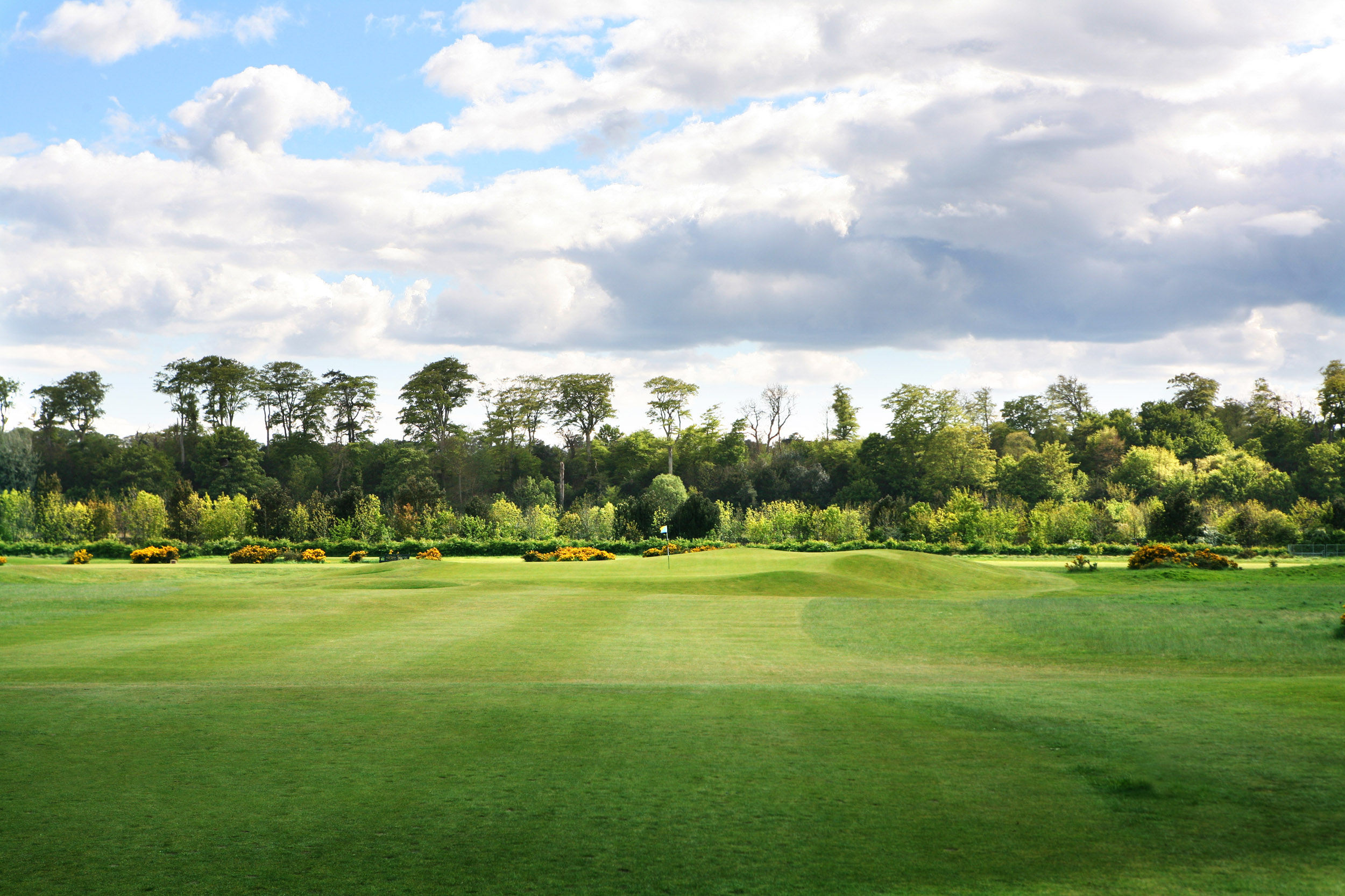 Strathtyrum Course Scotland for Golf