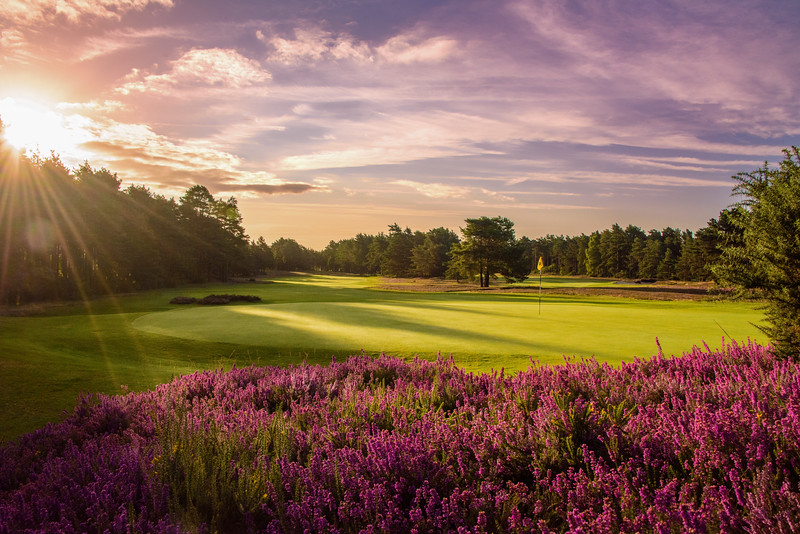 Sunningdale GC, Old Course  Gallery Image 5