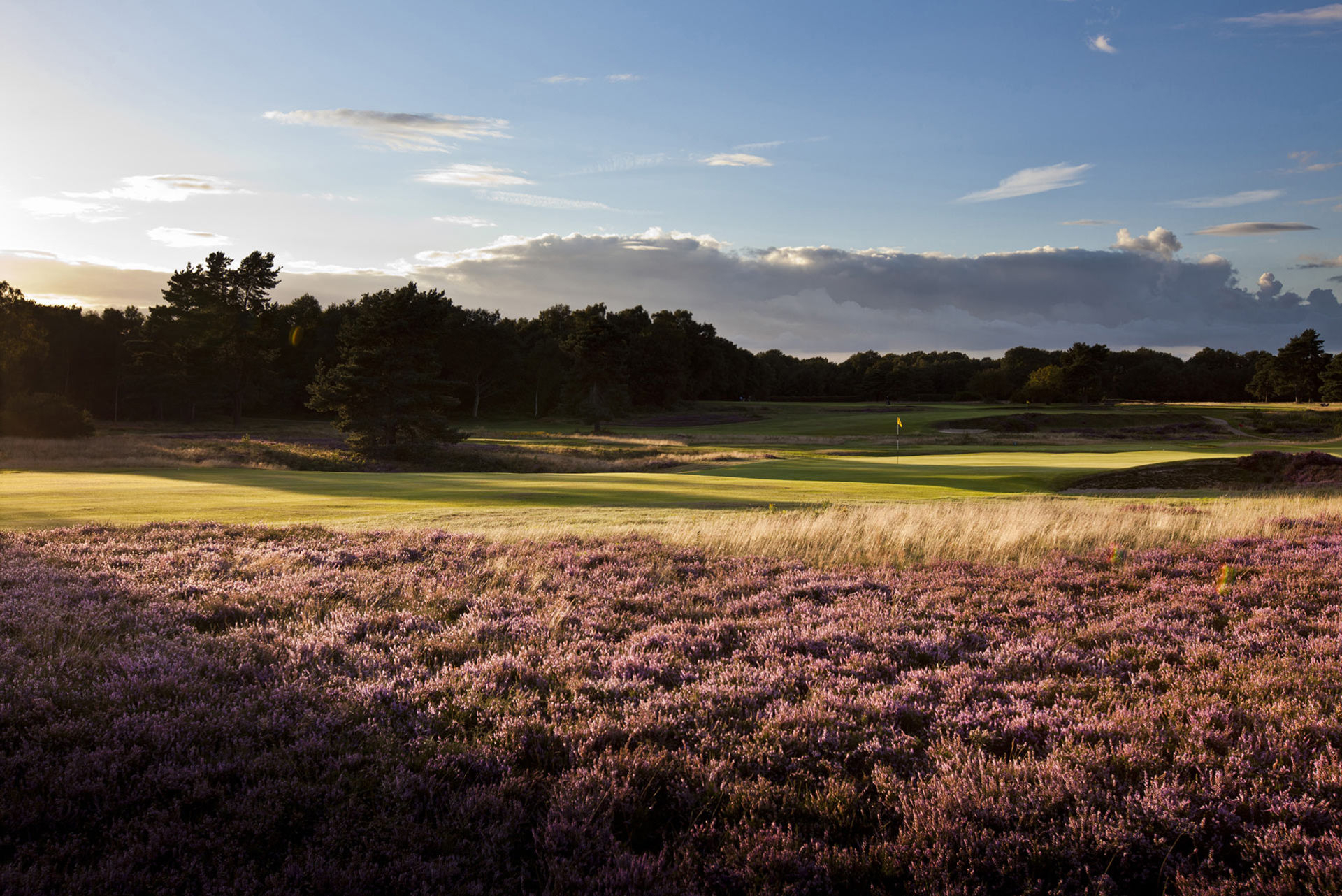 Walton Heath GC Gallery Image 1