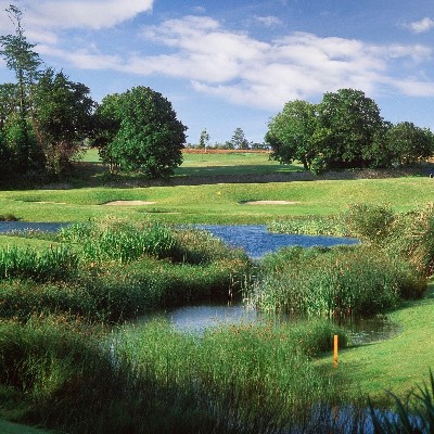 Deer Park, Fota Island Gallery Image 4