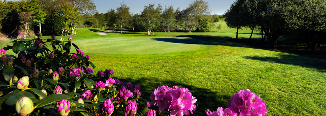 Kinsale Golf Club Gallery Image 2