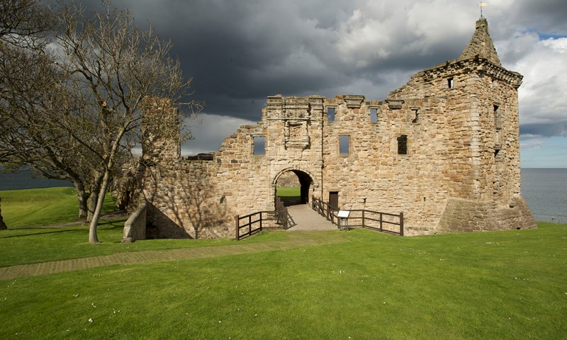 Gallery Image 4